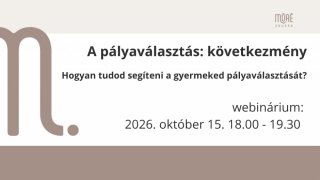 A pályaválasztás: következmény